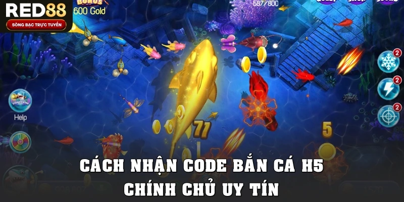 Những cách nhận code bắn cá H5 chính chủ uy tín