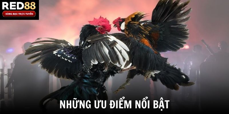 Những ưu điểm nổi bật
